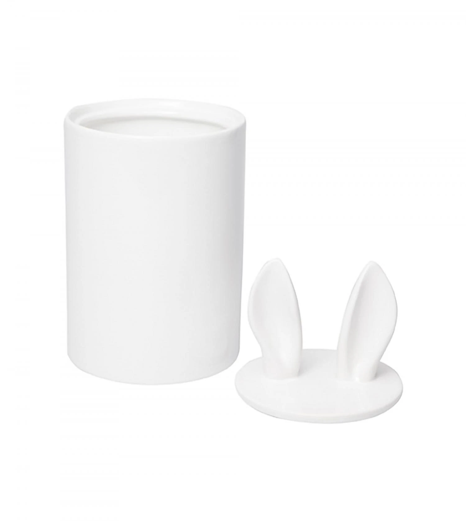 Container Décoratif Curiosity – Image 5