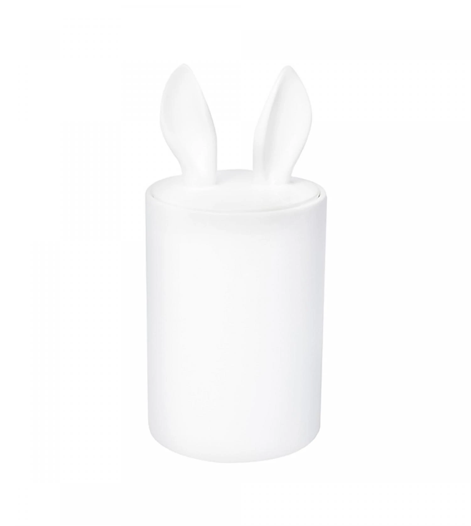 Container Décoratif Curiosity