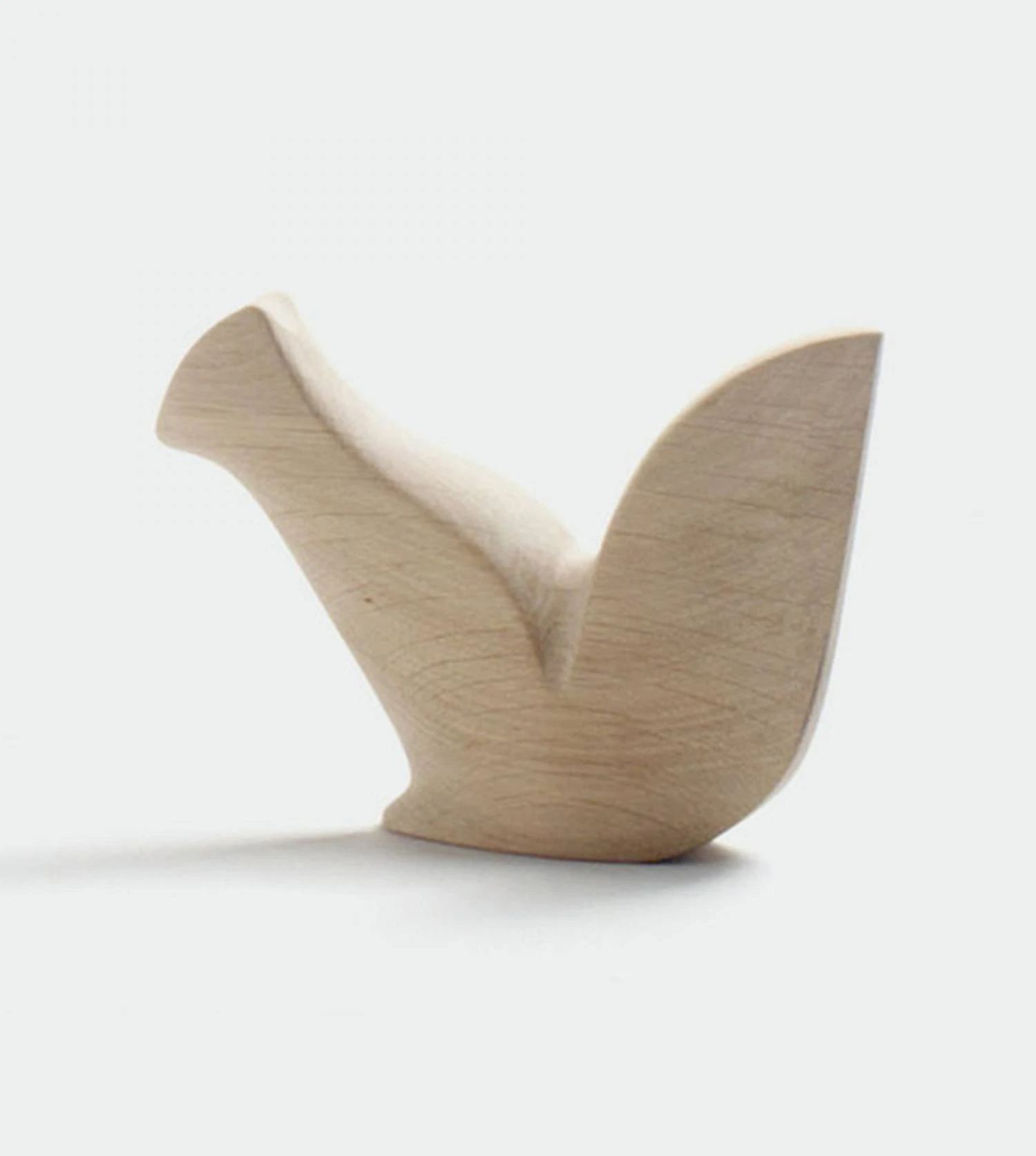 Ecureuil Urtxintxa – Image 3