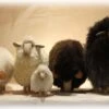 Sheep Mouton 20cm - Tête Droite