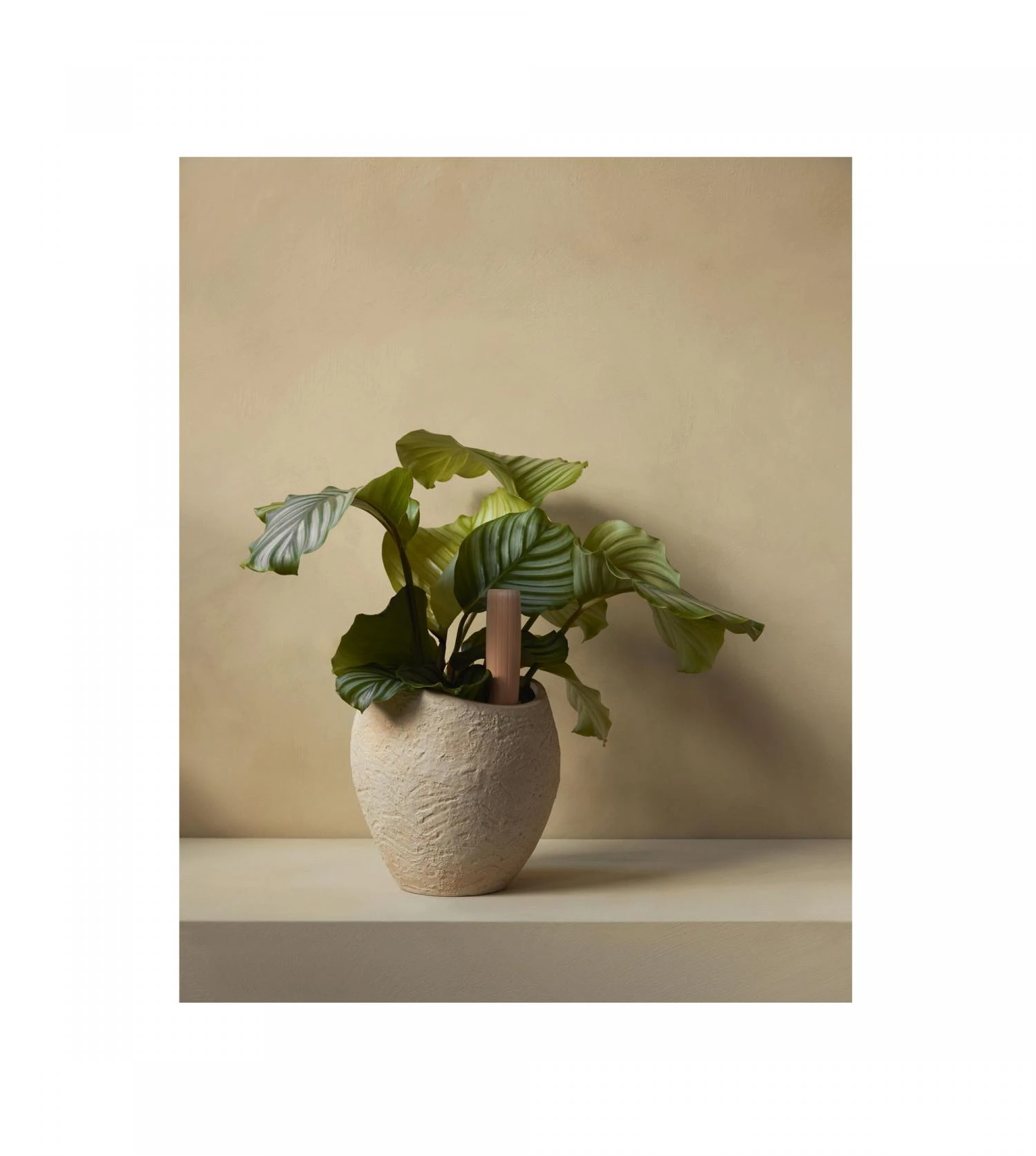 Tige D'arrosage Hydrous (set De 2) – Image 2