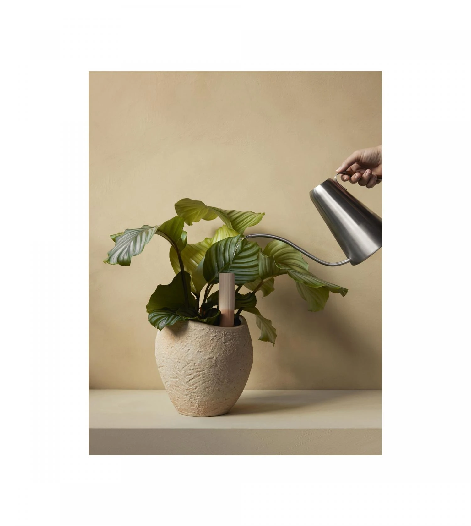 Tige D'arrosage Hydrous (set De 2) – Image 3